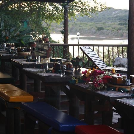 Dungbeetle River Lodge โคลเชสเตอร์ ภายนอก รูปภาพ