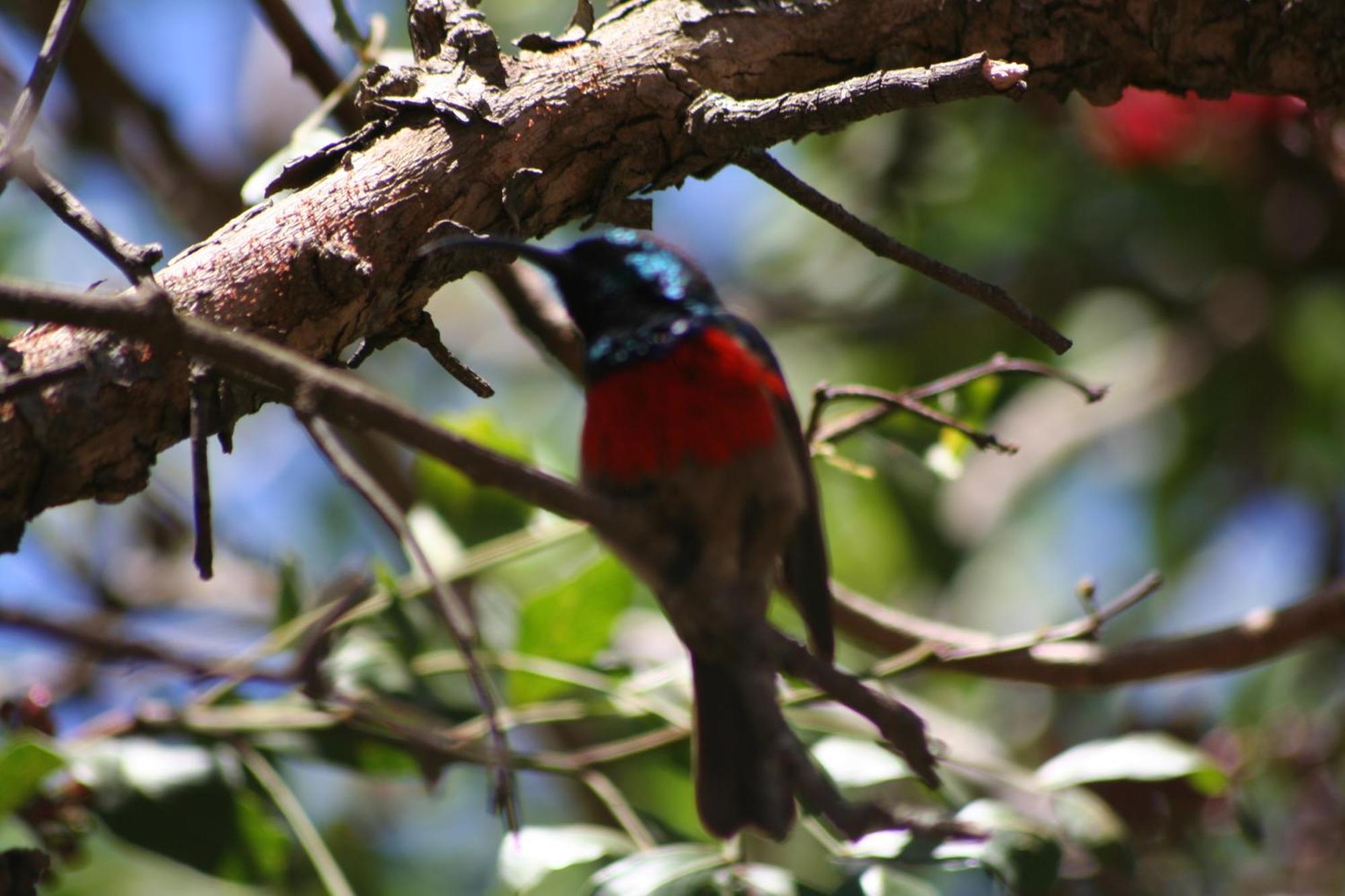 Dungbeetle River Lodge โคลเชสเตอร์ ภายนอก รูปภาพ